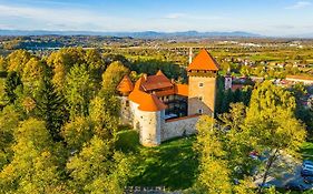 Karlovacka Zvijezda